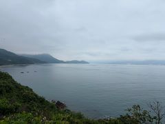 -杨梅坑