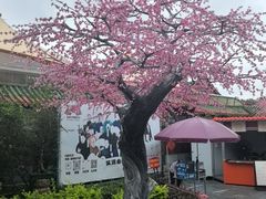 -珠海圆明新园