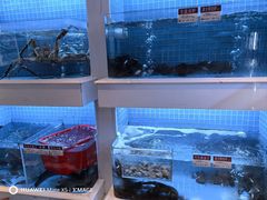 -金苑海鲜酒家(来魅力店)