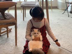 -泰国佛·塔罗·泰牌狐仙古曼