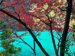 -叠溪松坪沟景区
