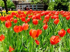 -长春公园(普阳街道)