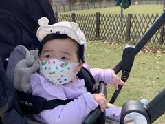 -上海长兴岛郊野公园