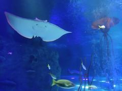 -沈阳海洋探索中心