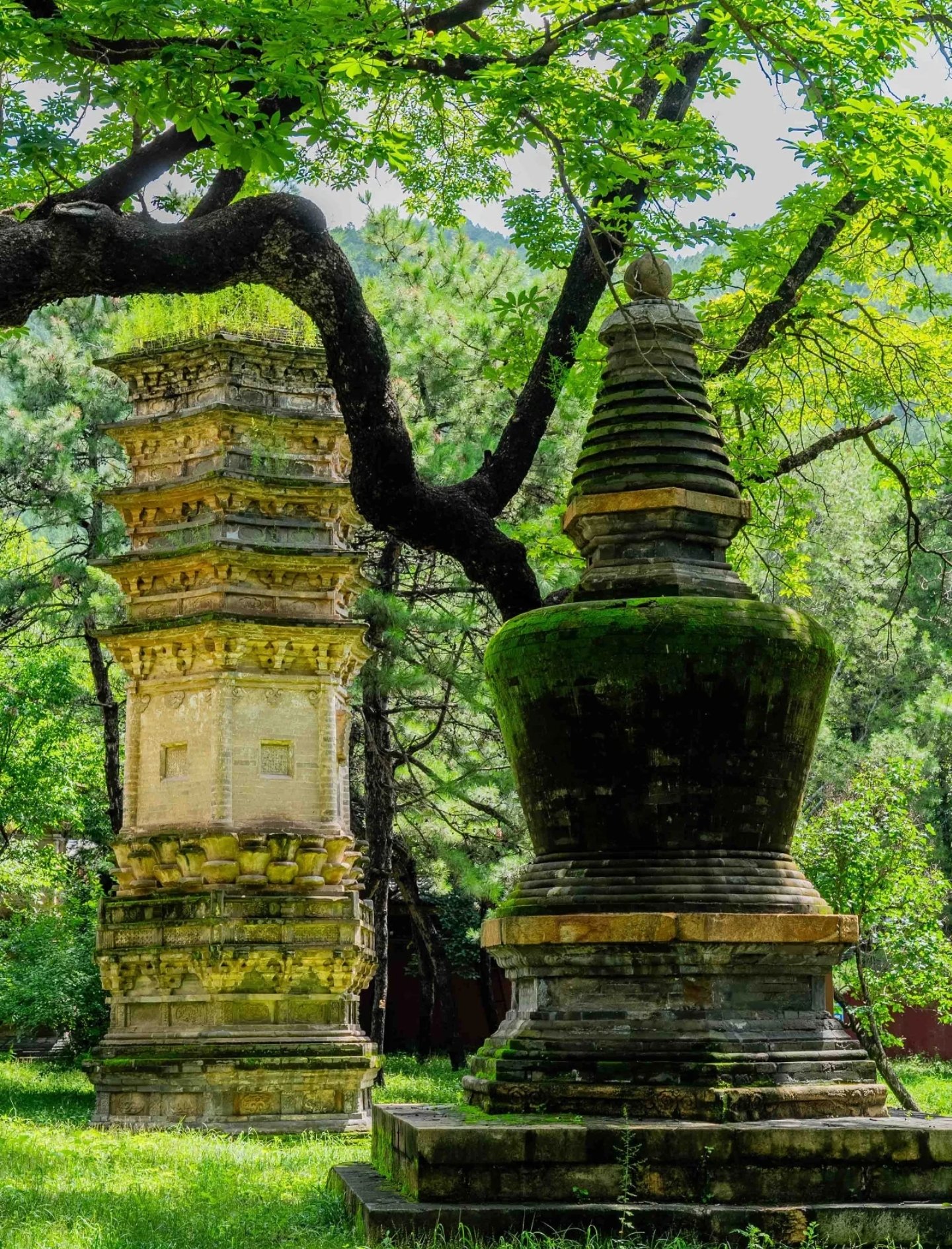 潭柘寺附近公园图片