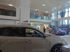 -上汽荣威体验中心(徐汇东安路店)