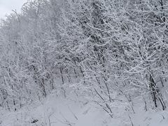 -长白山万达国际滑雪场