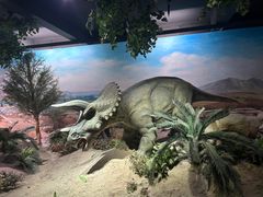 -国家自然博物馆