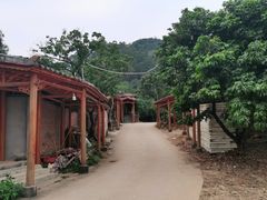 -全汁全味驴庄(凤岗店)
