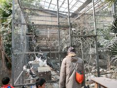 -呀路古热带植物园