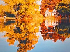 -上海共青森林公园