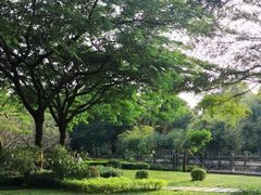 -晓港公园