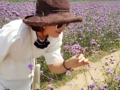 -北京东方普罗旺斯薰衣草庄园