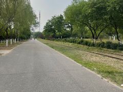 -永定河休闲森林公园