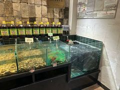-黄山老妈·土菜(碧桂园店)