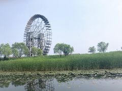 -太湖湖滨国家湿地公园-停车场