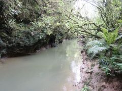 -怀托摩萤火虫洞