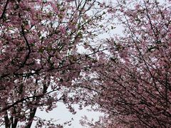 -南山风景名胜区