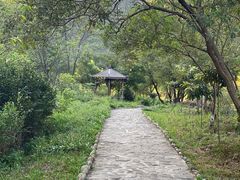 -武汉姚家山旅游景区