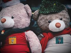 -Wagas沃歌斯(大学路店)