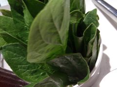 -古乐牛香·鲜牛肉牛杂火锅(新区店)