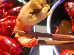 清蒸大虾-一棠龙虾(徐家汇城开YOYO店)