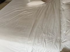 -西安赛瑞喜来登大酒店