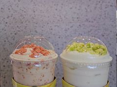 -茉酸奶(春熙路店)