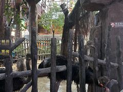 -长鹿旅游休博园