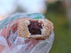 豆馅火烧-老回回饺子馆(海洋馆店)