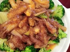 -鸢飞潍坊菜馆(鸢飞大酒店)