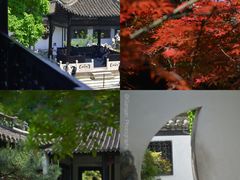 -渌洋湖湿地公园