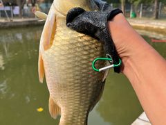 -酷鱼垂钓CLUB(朝阳区博大路店 )