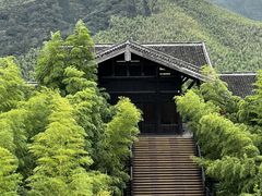 -大唐贡茶院