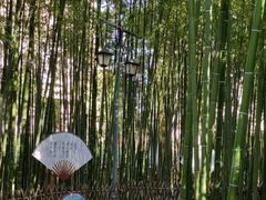 -陈家山荷花公园