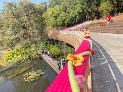 -云溪植物园