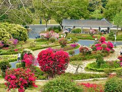 -东莞植物园