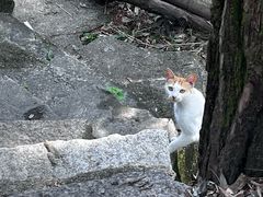 -句容茅山景区
