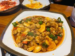 鱿鱼嘴-红辣椒八爪鱼特色韩国料理