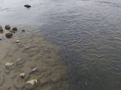 -深圳湾公园(南山区)
