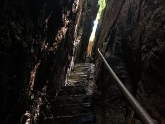-天女山森林公园