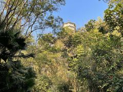 -深圳国际园林花卉博览园