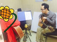 -大象音乐·吉他·架子鼓·声乐(双井店)