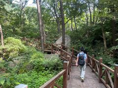 -大岭沟猕猴桃谷风景区