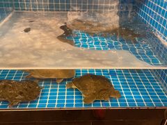 -湘里乡亲甲王二老店