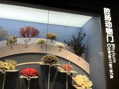 -中国湿地博物馆