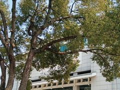 -苏州图书馆(人民路总馆)