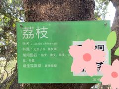 -黄埔荔枝公园