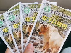 -秦皇岛野生动物园