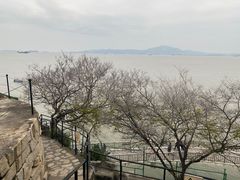 -胡里山炮台